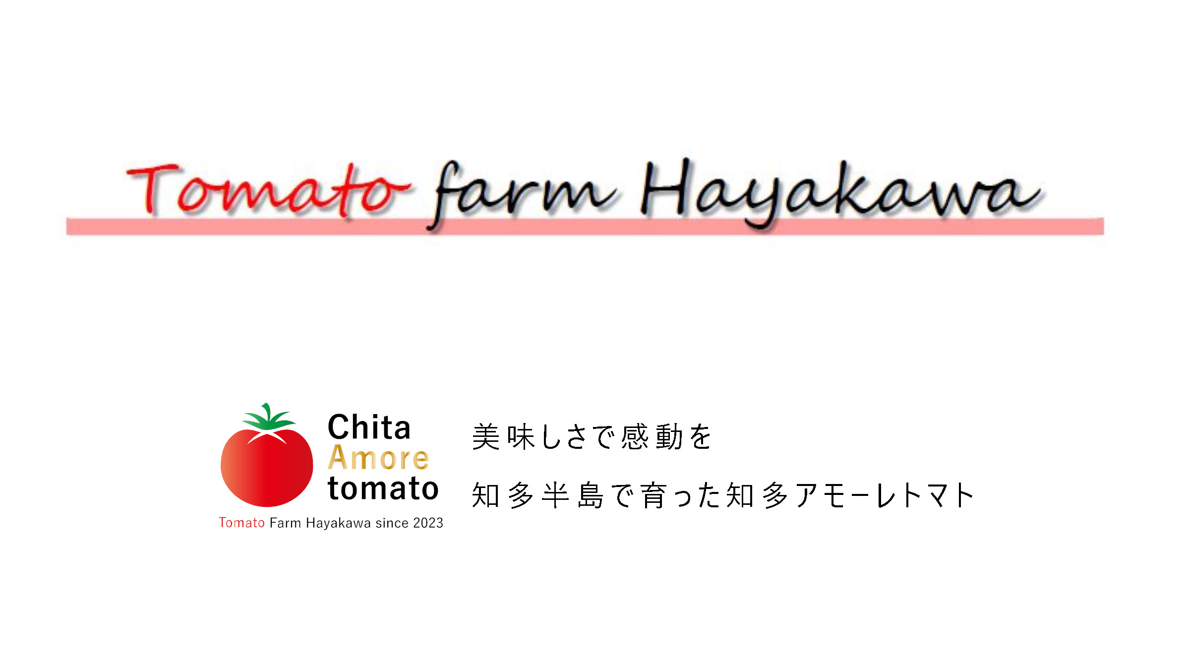 Chita Amore tomato